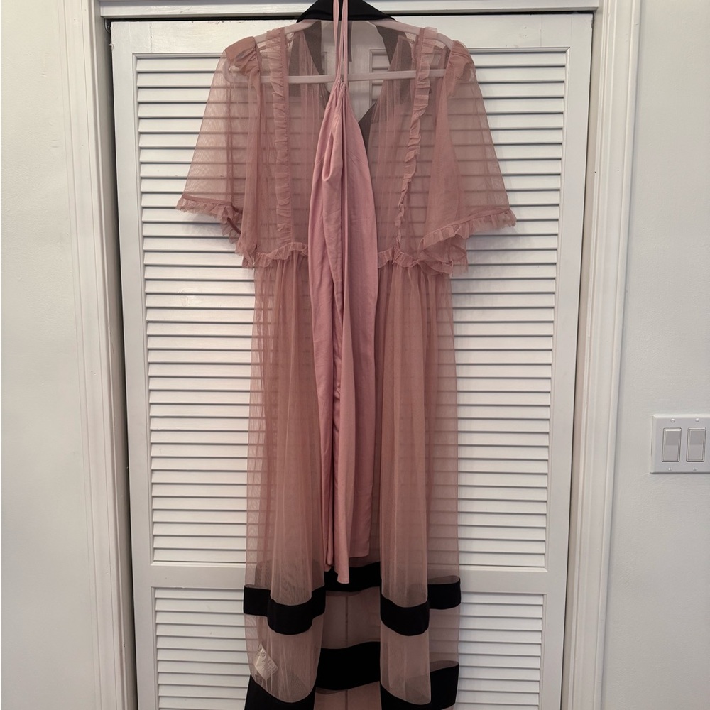 By Anthropologie Sheer Maxi Dress  Color: Pink Size: M - Picture 5 of 6